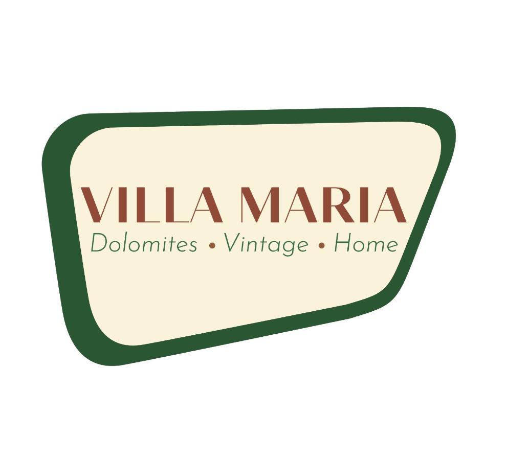 Villa Maria Dolomites Vintage Home 布鲁尼科 外观 照片